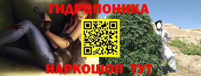 прущие грибы Краснокаменск