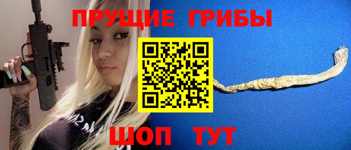 Галлюциногенные грибы Psilocybe Калач-на-Дону